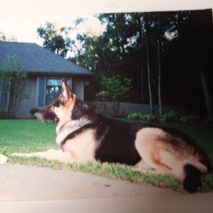 Meet your Posher, Diane